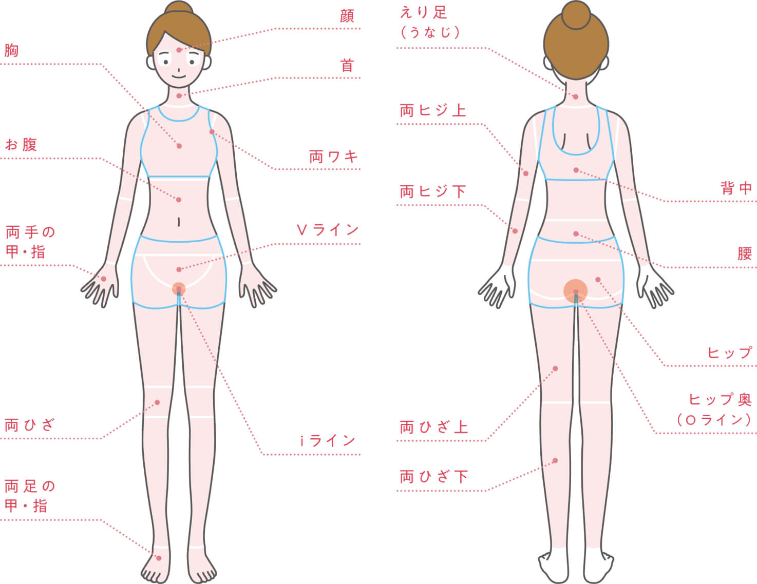 脱毛箇所(前は顔、首、両脇、胸、お腹、Vライン、両手の甲・指、iライン、両膝、両足の甲・指　後ろは襟足、背中、両肘上、腰、両肘下、ヒップ、Oライン、両膝上、両膝下)