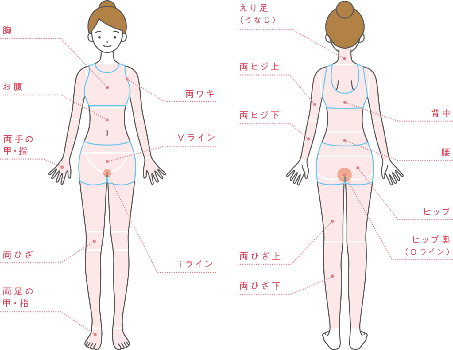 脱毛箇所(前は両脇、胸、お腹、Vライン、両手の甲・指、iライン、両膝、両足の甲・指　後ろは襟足、背中、両肘上、腰、両肘下、ヒップ、Oライン、両膝上、両膝下)