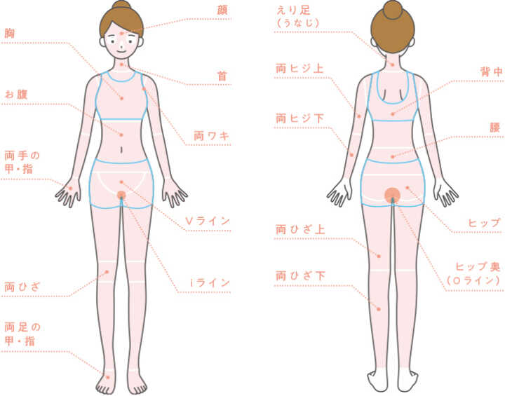 脱毛箇所(前は顔、首、両脇、胸、お腹、Vライン、両手の甲・指、iライン、両膝、両足の甲・指　後ろは襟足、背中、両肘上、腰、両肘下、ヒップ、Oライン、両膝上、両膝下)